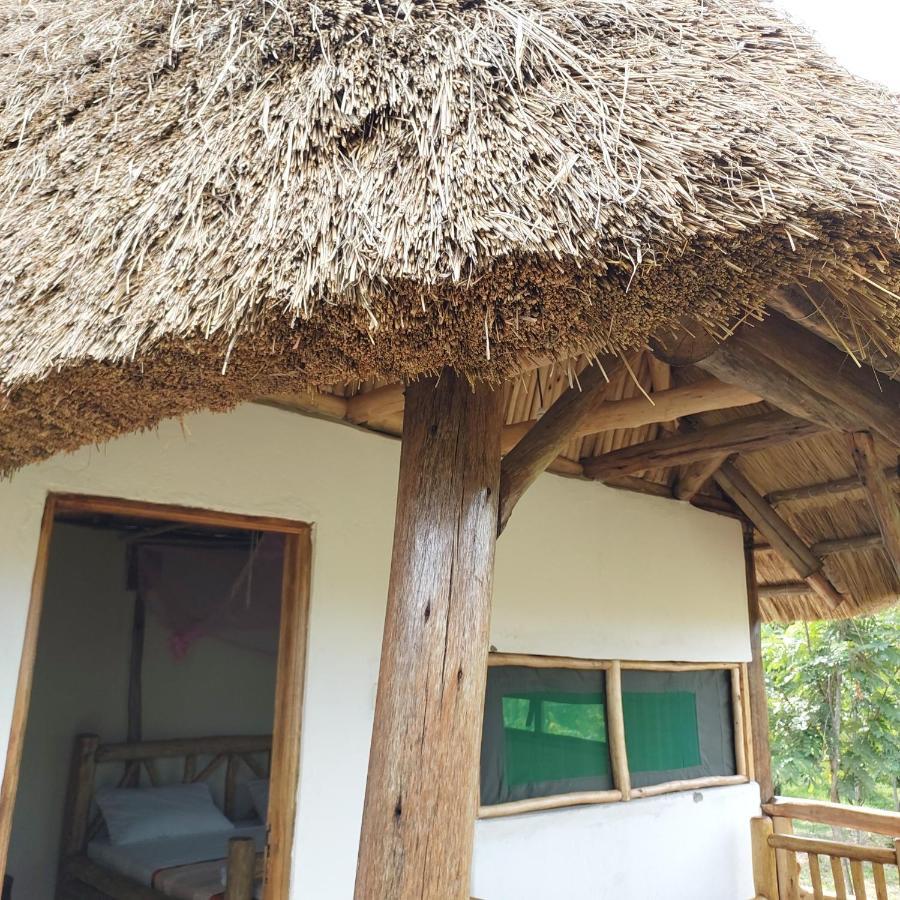 Songbird Safari Lodge & Campsite Katunguru Eksteriør bilde