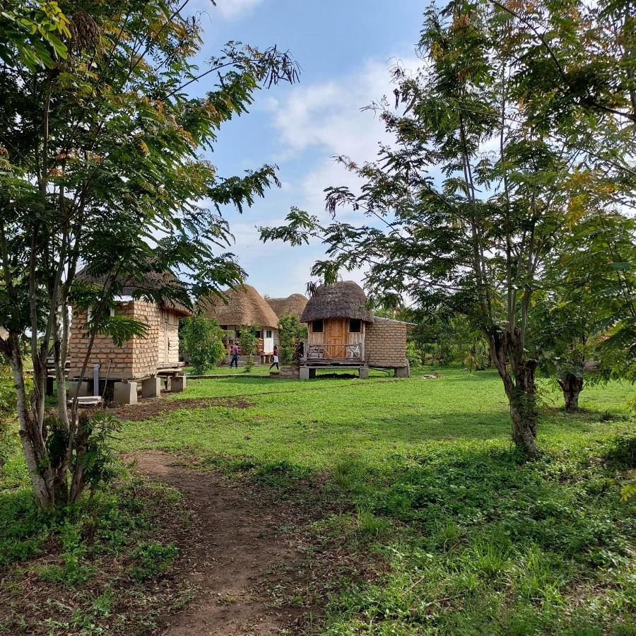 Songbird Safari Lodge & Campsite Katunguru Eksteriør bilde
