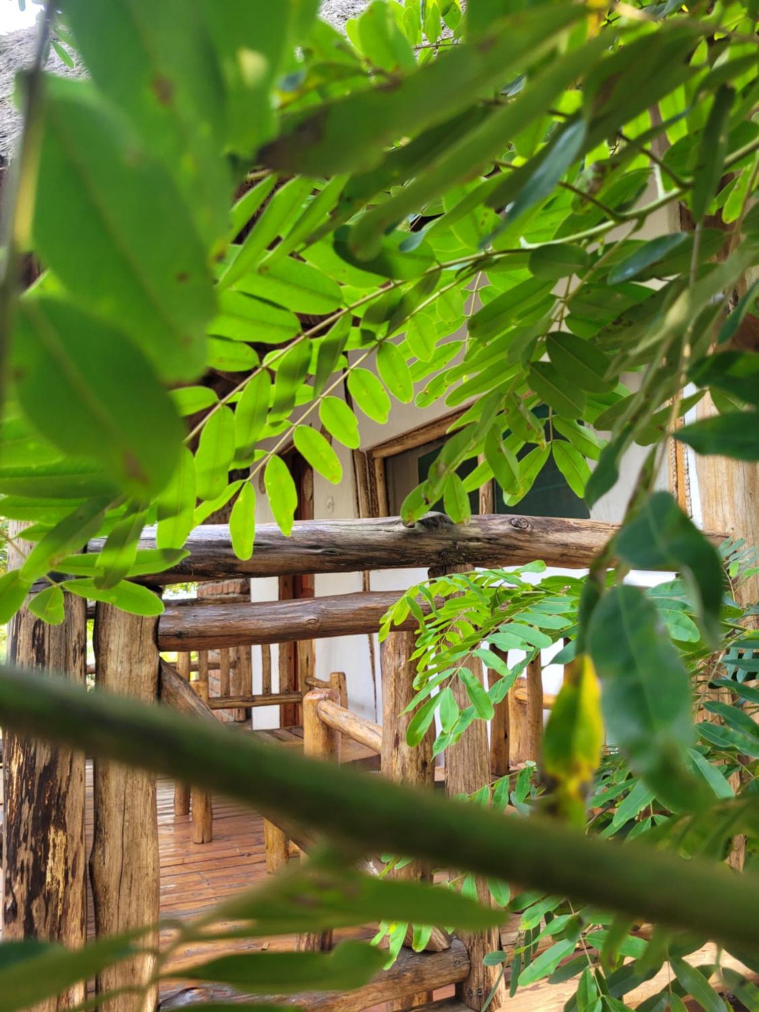 Songbird Safari Lodge & Campsite Katunguru Eksteriør bilde