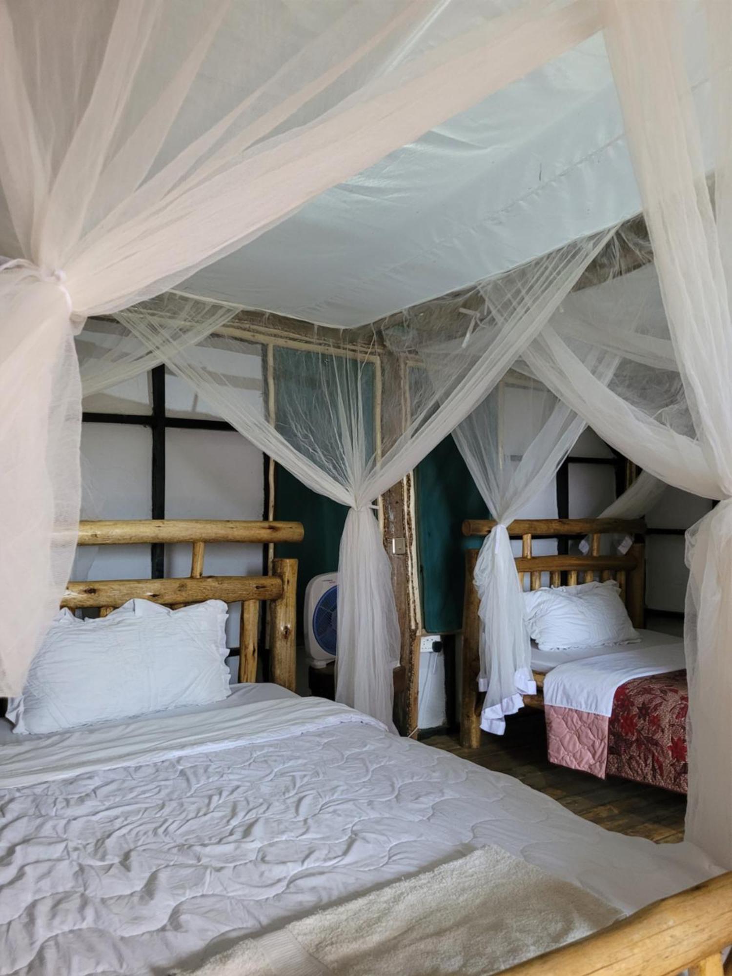 Songbird Safari Lodge & Campsite Katunguru Eksteriør bilde